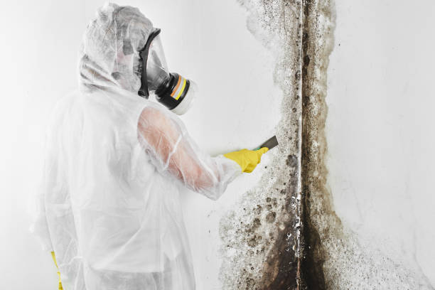 Best Mold Testing  in Speer, NC