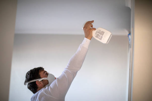 Best Best Mold Removal Companies  in Speer, NC