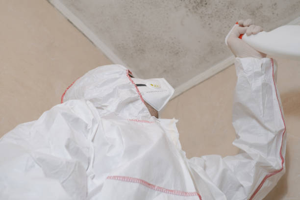 Trusted Spencer, NC Mold Removal Experts